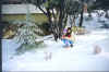 snow1.jpg (42985 bytes)